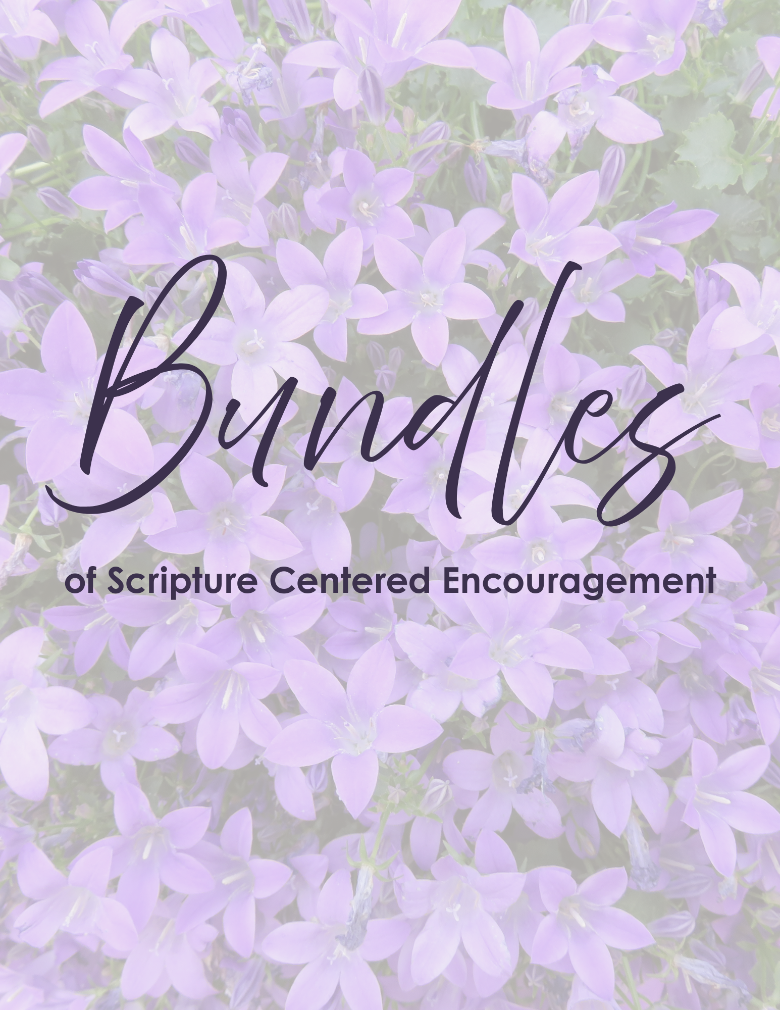 Bundles