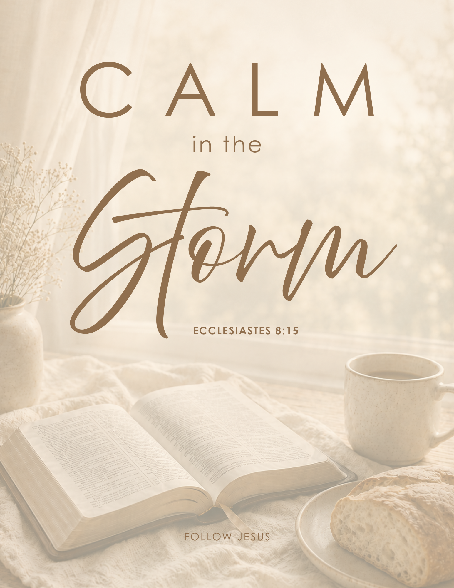 27 | Calm in the Storm | Ecclesiastes 8:15