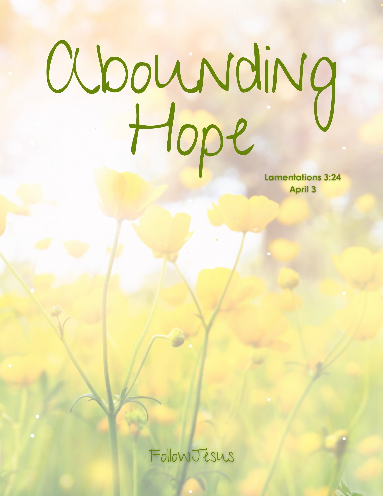 Day 03 | Abounding Hope | Lamentations 3:24